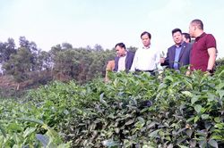 Động lực thúc đẩy phát triển kinh tế - xã hội