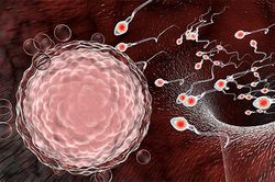 Phát hiện SARS –CoV-2 trong tinh dịch, Covid-19 có lây qua đường tình dục?