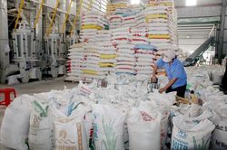TP.HCM: Gỡ khó về thuế cho doanh nghiệp ổn định sản xuất