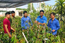 Tận tâm với phong trào Đoàn