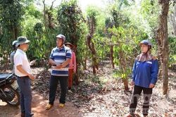 Dân vẫn ngóng chờ đền bù