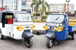 Ấn Độ điện hóa xe 2 - 3 bánh