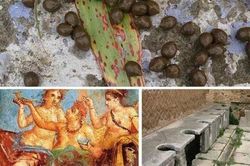 Những sự thật khó tin về cuộc sống của người La Mã cổ: Đánh răng bằng nước tiểu, ăn no quá nôn luôn tại bàn