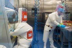 Báo Đức: Bộ Quốc phòng Đức nghi ngờ thuyết 'virus Vũ Hán' của TT Trump