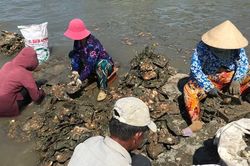 Giữa mênh mông sóng nước