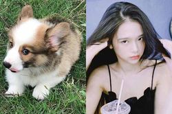 Ra ngoài là hot girl đình đám, về nhà Linh Ka vẫn phải chịu kiếp 'con sen'