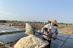 Hạt muối nhọc nhằn của diêm dân ngày nắng đỉnh điểm