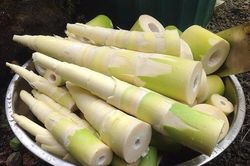 Mẹo khử sạch vị đắng của măng tươi đơn giản trong vòng '1 nốt nhạc'