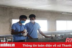 Hiệu quả của mô hình HTX chăn nuôi thỏ theo hướng liên kết