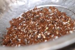 Món muối làm từ kiến đặc sản Phú Yên