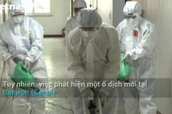 Trường học Hàn Quốc tẩy trùng, chuẩn bị đón học sinh trở lại