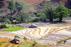 Thề Pả lấp lánh gương trời