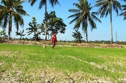 EU, Pháp hỗ trợ Việt Nam tăng cường khả năng chống chịu và quản lý nước, tài nguyên thiên nhiên