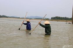Ngâm mình cào hến trên Sông Lam