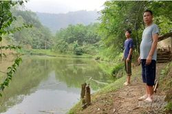 Bắc Kạn: Làm giàu từ mô hình 'nuôi cá trong rừng'