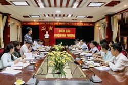 Đan Phượng phấn đấu tăng trưởng nông nghiệp đạt từ 4,19%