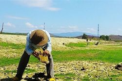Ngày 14-15/5, nắng nóng tiếp tục ảnh hưởng tới Tây Nguyên và Nam Bộ, nền nhiệt phổ biến từ 35-37 độ C