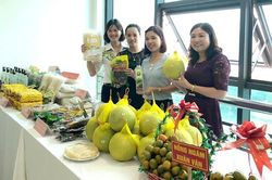 'Trái ngọt' từ chương trình mỗi xã một sản phẩm ở Tuyên Quang