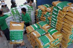 Không có ca mắc mới COVID-19, Campuchia nối lại xuất khẩu gạo