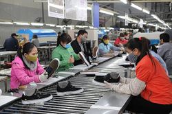 Phòng vệ thương mại trong EVFTA: Nắm vững cam kết để bảo vệ lợi ích chính đáng
