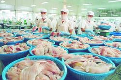 Doanh nghiệp thủy sản tiết kiệm tiền tỷ nhờ giảm giá điện