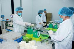 Phát huy thế mạnh các vùng sản xuất nông nghiệp lớn