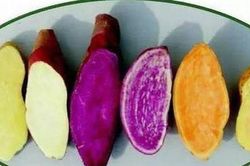 Sinh tố khoai lang - món ăn vàng cho da đẹp, sức khỏe tốt mà rất nhiều người chưa biết