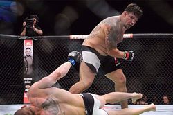 5 võ sĩ có số lần hạ gục đối thủ nhiều nhất trong UFC