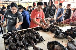 Giữa dịch bệnh, thịt dơi và thú hoang vẫn đầy chợ tại Indonesia