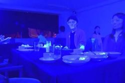 Video gây sốt về thí nghiệm cho thấy virus lây bùng nổ ở tiệc buffet