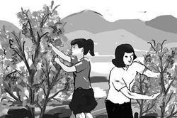 Ngọt ngào mùa trái chín