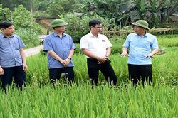 Phó Chủ tịch Yên Bái chỉ đạo quy hoạch, bố trí quỹ đất để xây dựng các khu tái định cư