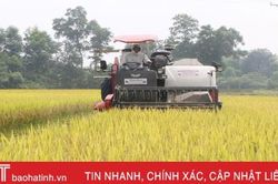 Thu hoạch nhanh gọn lúa xuân, né tránh thời tiết bất lợi ở Hà Tĩnh