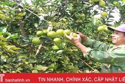 Can Lộc phấn đấu xây dựng 10 sản phẩm OCOP năm 2020