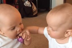 Clip: Cười nghiêng ngả với màn giành núm vú giả siêu dễ thương của hai chị em sinh đôi