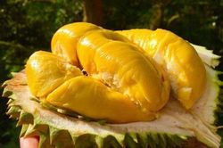 4 thực phẩm đại kỵ với sầu riêng, ăn chung có thể ngộ độc