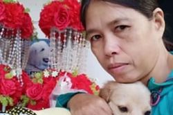 Chân dung 'nữ hiệp' Bình Dương làm mẹ của hàng trăm con chó, mèo 'cho không ai thèm lấy'