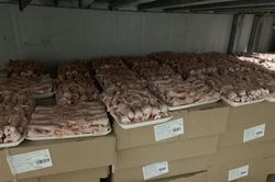 Ngụy trang nhà vườn để kinh doanh chân gà không rõ nguồn gốc