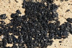 Xuất hiện chất lạ nghi hắc ín tại bờ biển Quảng Ngãi