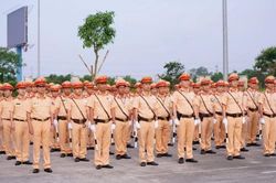 Tổng kiểm soát phương tiện giao thông