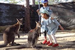 Vườn thú 'kiểu Australia' gần Đà Lạt