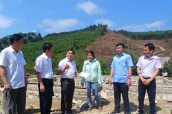 Trưởng Ban Dân vận Tỉnh ủy làm việc tại huyện Quỳ Châu