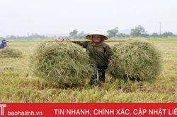 Nông dân Hà Tĩnh thu rơm, dọn ruộng, khởi động sớm vụ hè thu