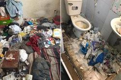 Ngán ngẩm phòng trọ rác nằm la liệt từ bàn học đến giường ngủ, nhìn tới đâu nổi da gà tới đó!