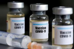 Cuối tháng 5 Việt Nam có kết quả thử nghiệm vaccine COVID-19 trên chuột