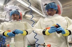 Chuyên gia Viện Virus học Vũ Hán công bố nguồn gốc của virus gây dịch Covid-19