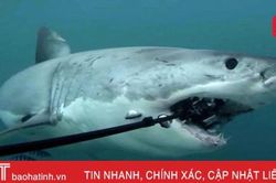 Cáp quang AAG lại gặp sự cố