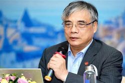 Ông Trần Đình Thiên: Nên tập trung cứu doanh nghiệp lớn