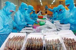 Số lô hàng thủy sản bị cảnh báo vi phạm 4 tháng năm 2020 giảm nhưng vẫn ở mức cao