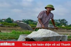 Nhọc nhằn nghề muối